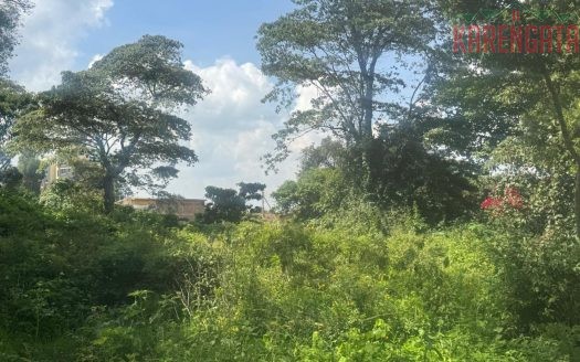 Ngong Town