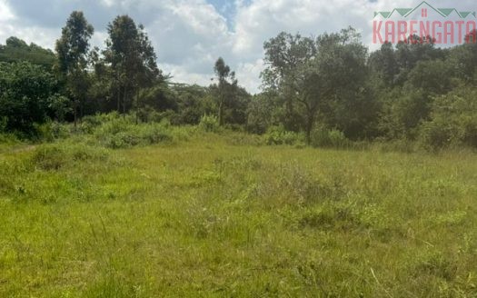 Ololua Ridge Karen