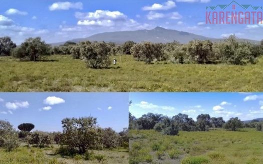 Kedong – Naivasha