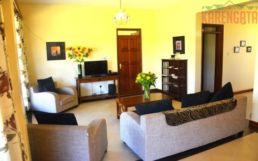 Moi South Lake Road – Naivasha